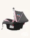 DT1_prink.webp
