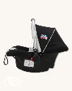 DT1_black.webp