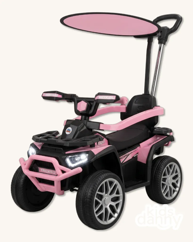 KD_933_pink1.webp